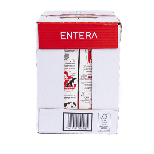 Folleto/Cartelería Online Web