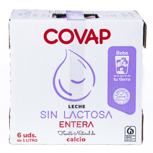 Folleto/Cartelería Online Web