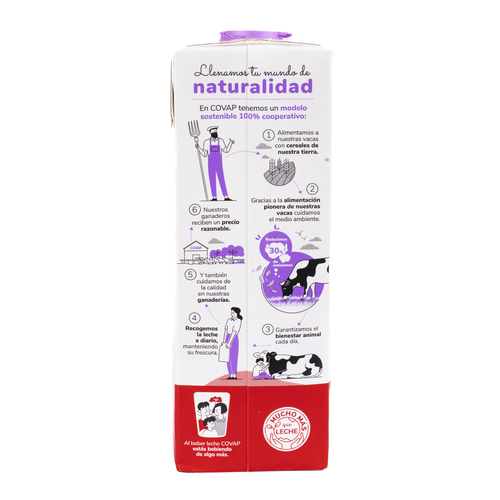 Folleto/Cartelería Online Web