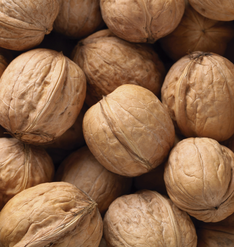 Folleto/Cartelería Online Web