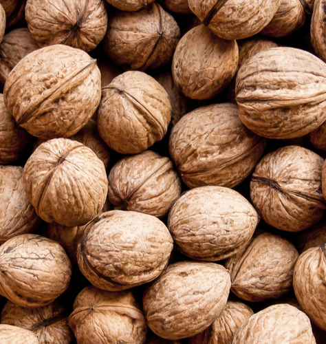 Folleto/Cartelería Online Web