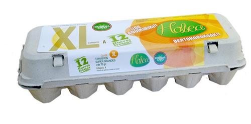 Folleto/Cartelería Online Web