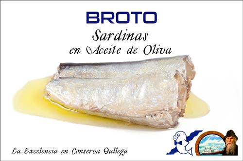 Folleto/Cartelería Online Web