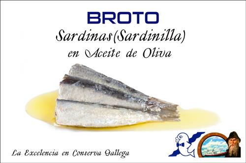 Folleto/Cartelería Online Web