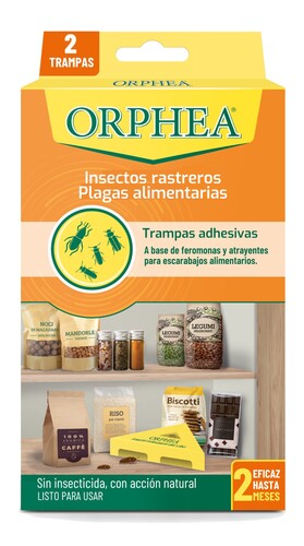 Folleto/Cartelería Online Web