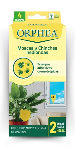 Folleto/Cartelería Online Web