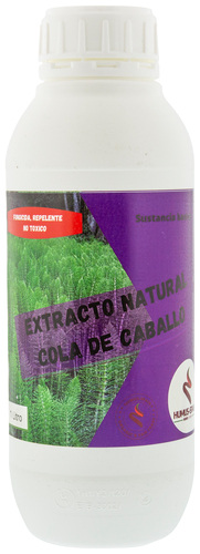 Folleto/Cartelería Online Web