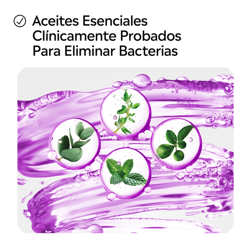 Folleto/Cartelería Online Web