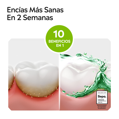 Folleto/Cartelería Online Web