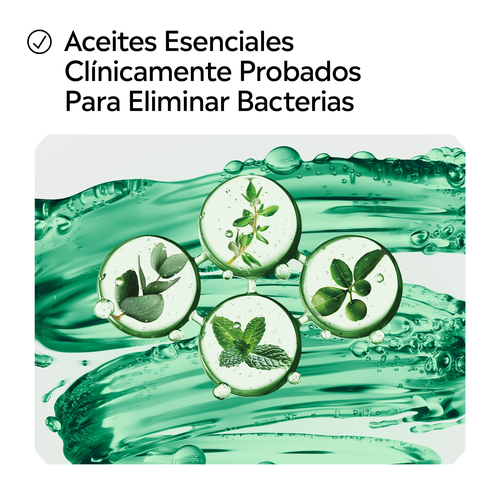 Folleto/Cartelería Online Web